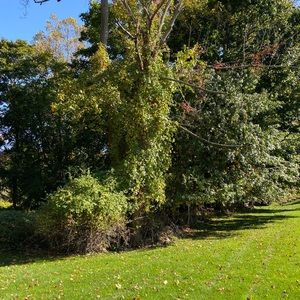 Meet your Posher, Jeffrey